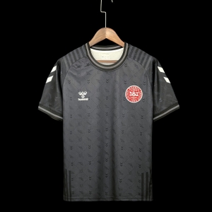 22/23 Denmark Goalkeeper Black 